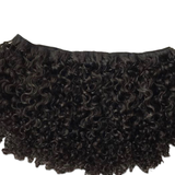 Burmese Curly - Queen Collection