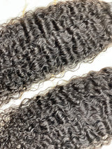 Burmese Curly - Queen Collection