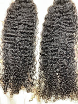 Burmese Curly - Queen Collection